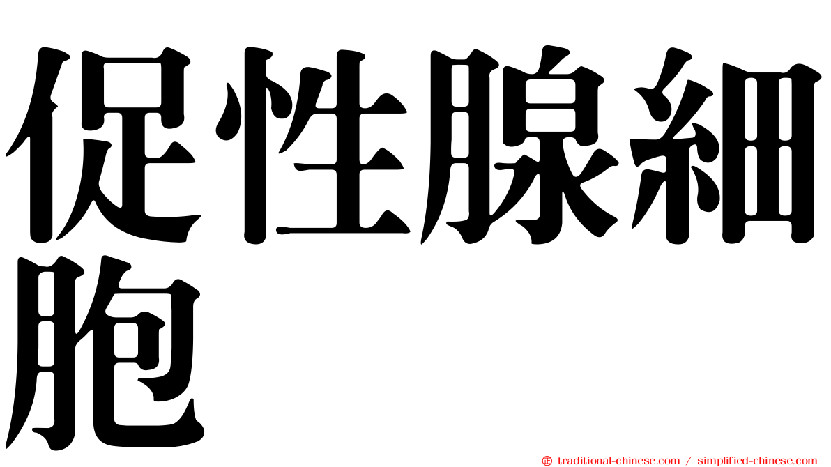 促性腺細胞