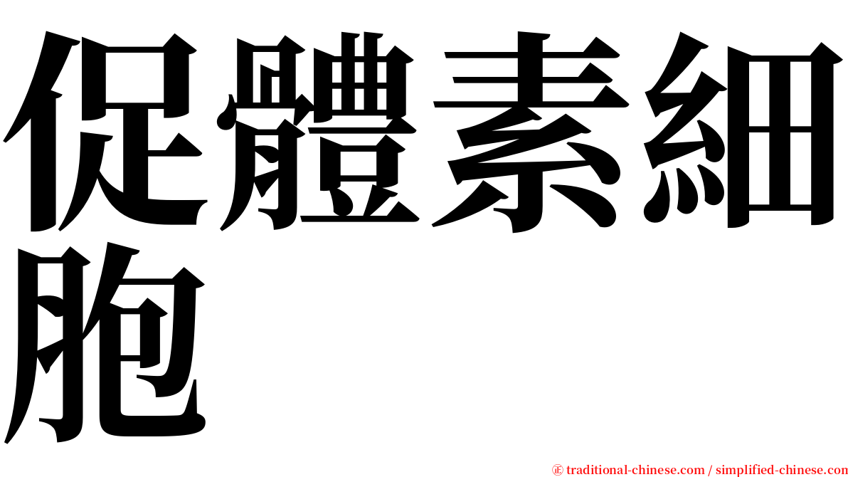 促體素細胞 serif font