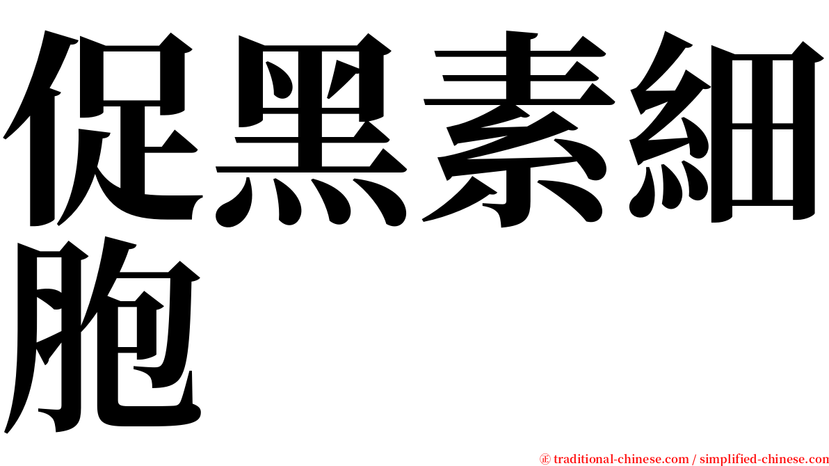 促黑素細胞 serif font