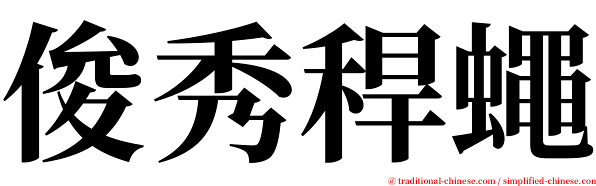 俊秀稈蠅 serif font