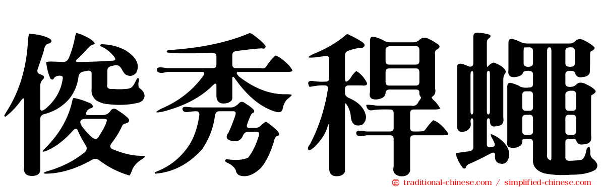 俊秀稈蠅