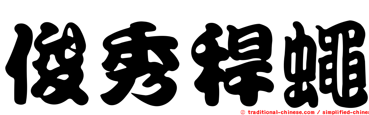 俊秀稈蠅