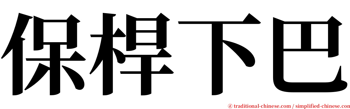 保桿下巴 serif font