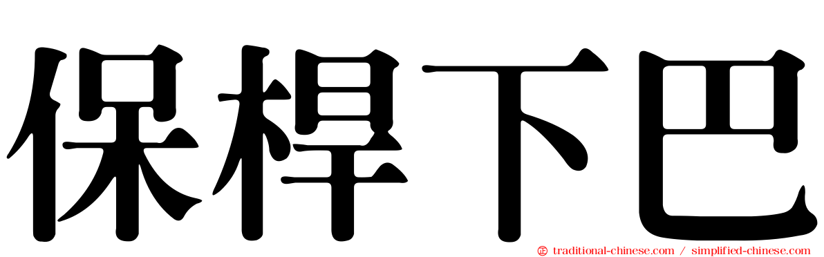 保桿下巴