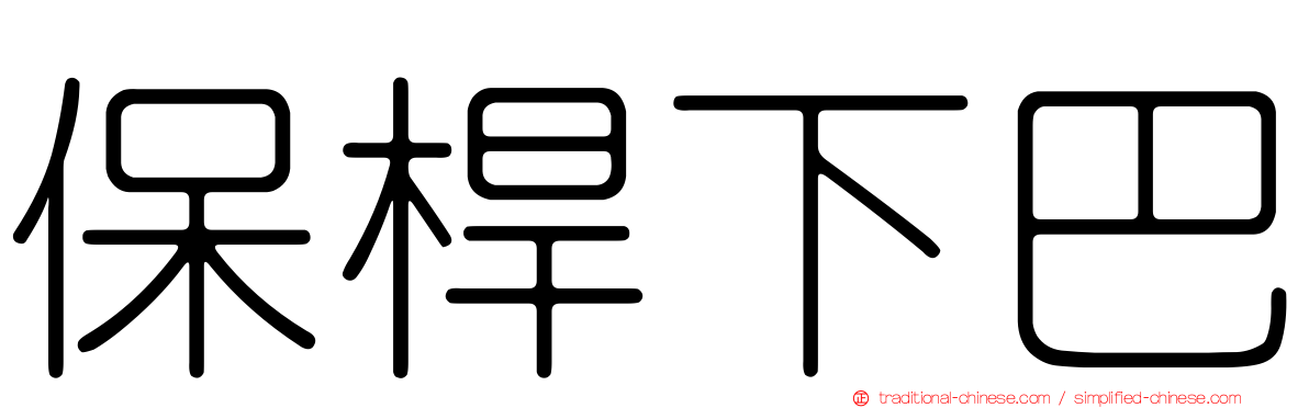 保桿下巴
