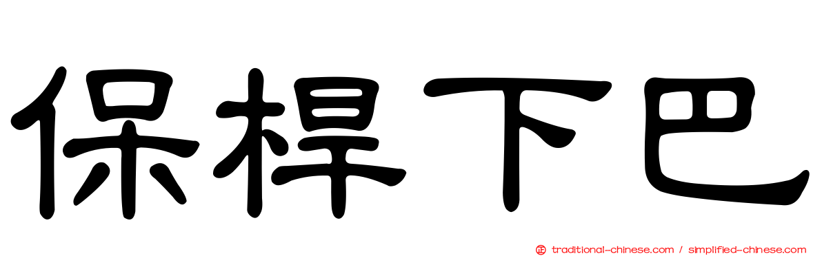 保桿下巴