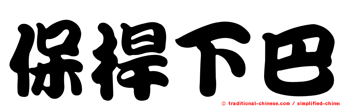 保桿下巴
