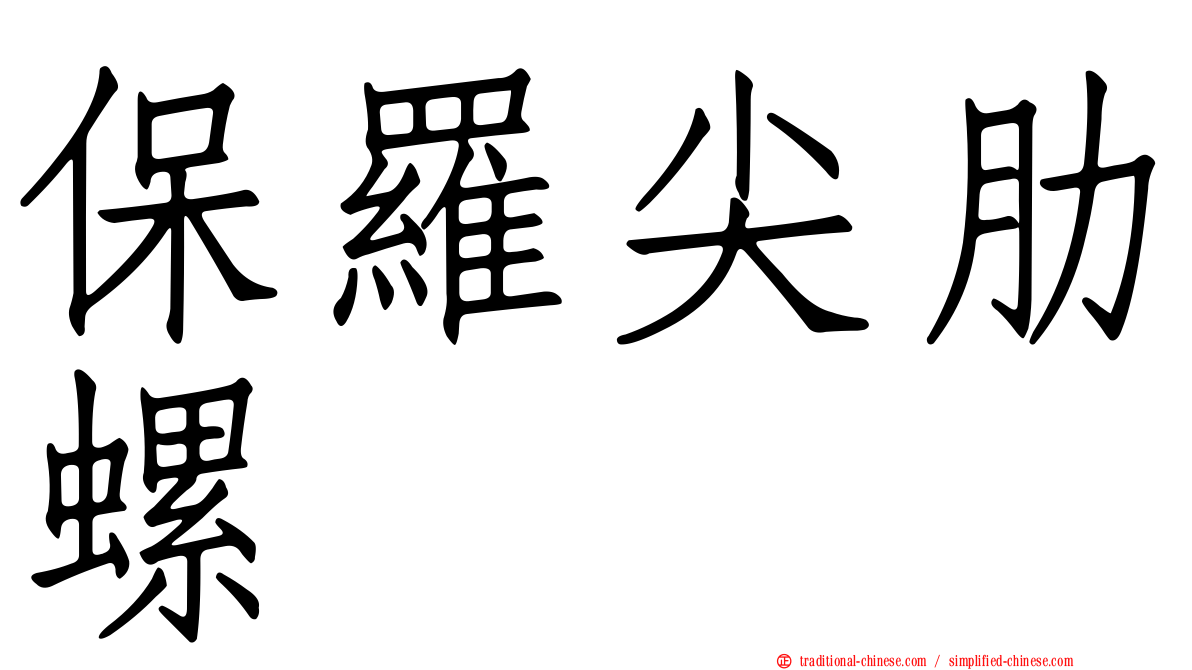 保羅尖肋螺