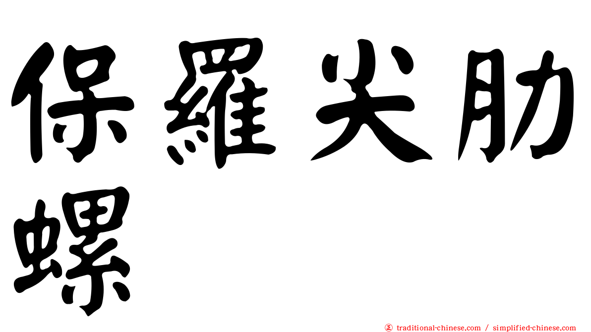 保羅尖肋螺