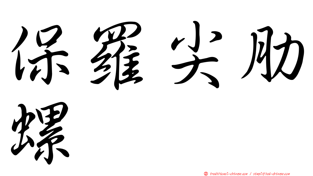 保羅尖肋螺