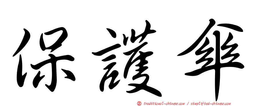 保護傘