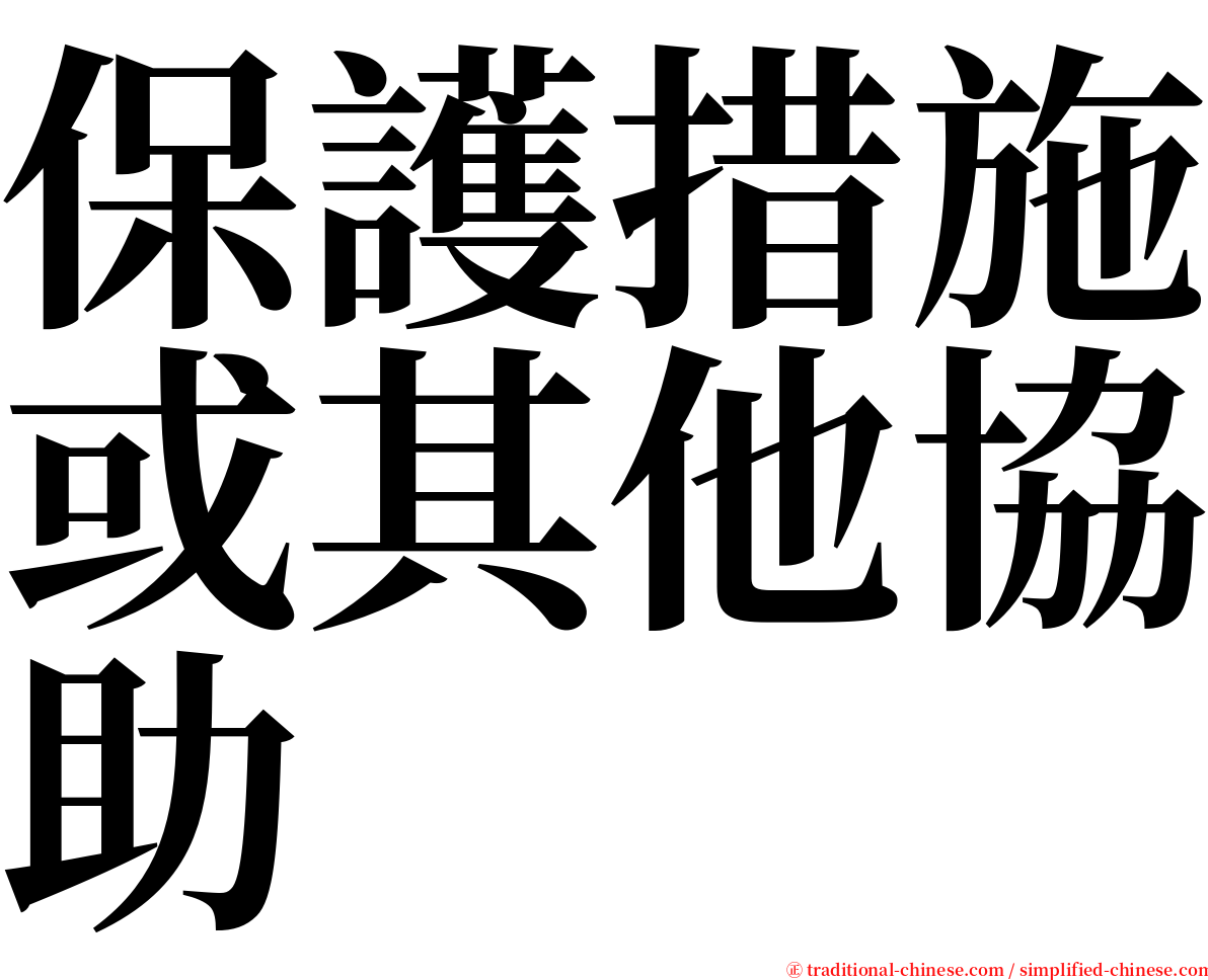 保護措施或其他協助 serif font