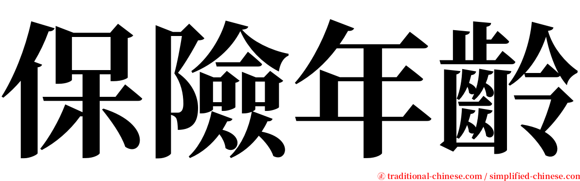 保險年齡 serif font