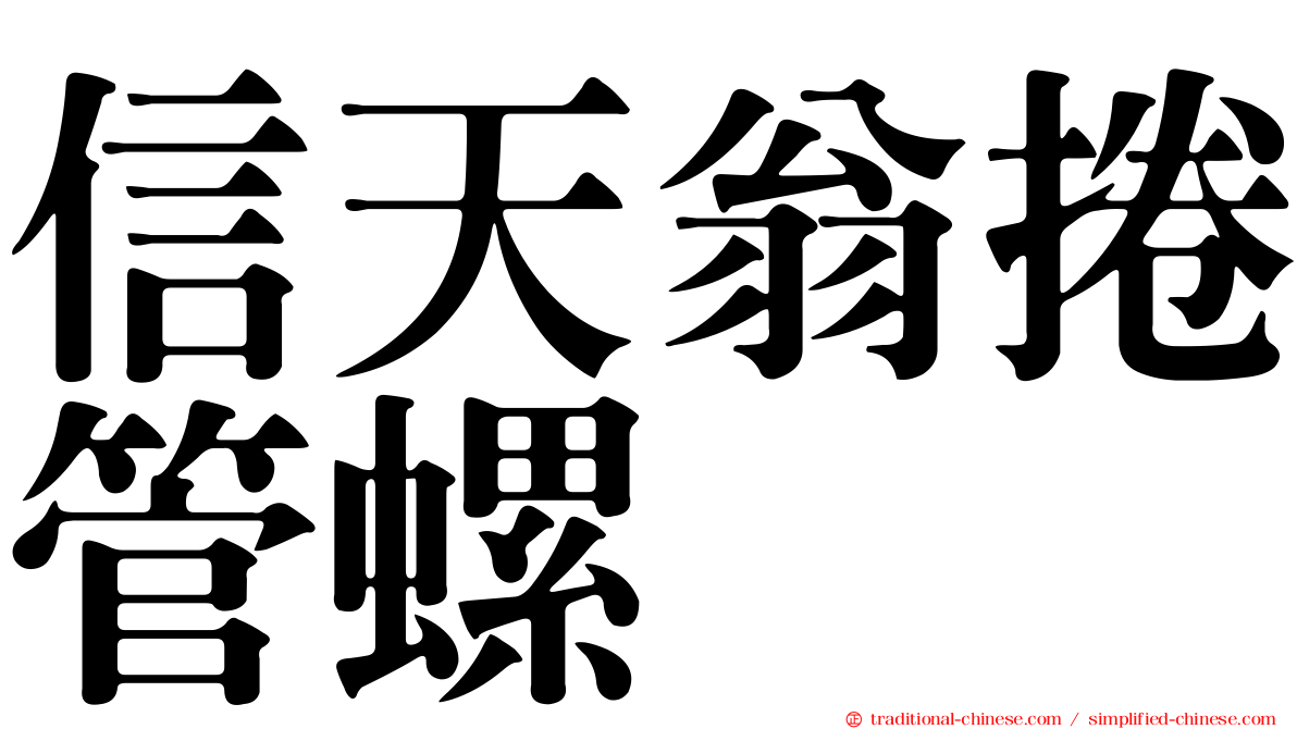 信天翁捲管螺