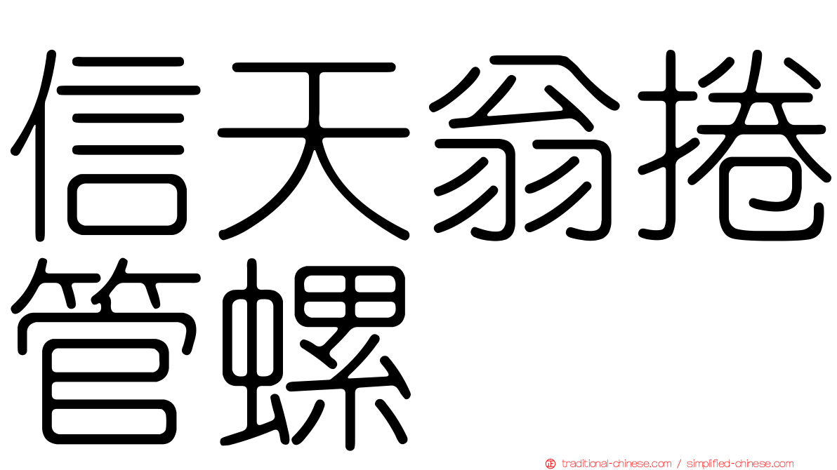 信天翁捲管螺