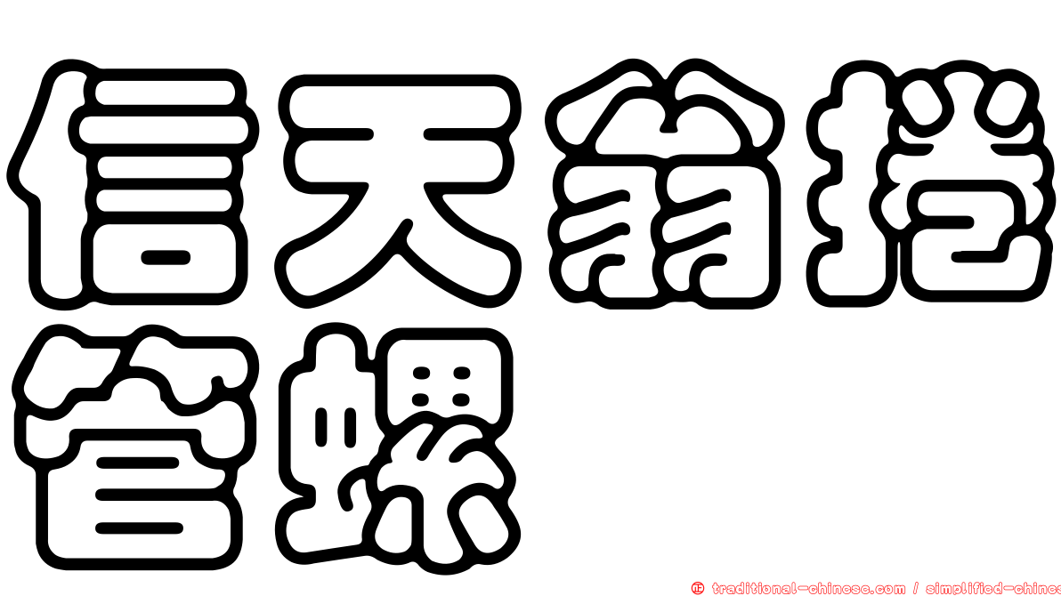 信天翁捲管螺