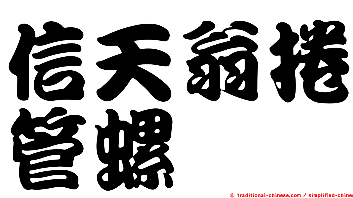 信天翁捲管螺