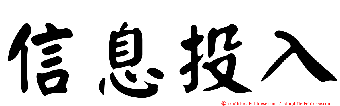 信息投入