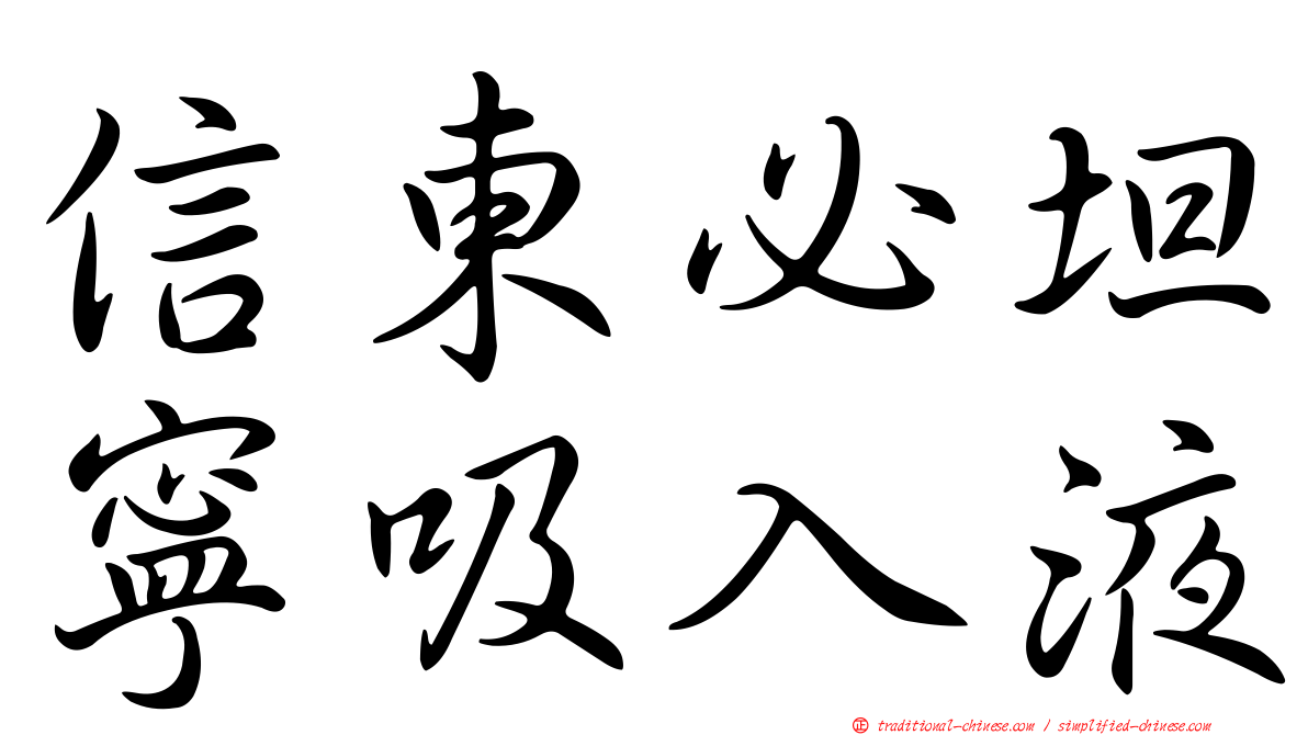 信東必坦寧吸入液