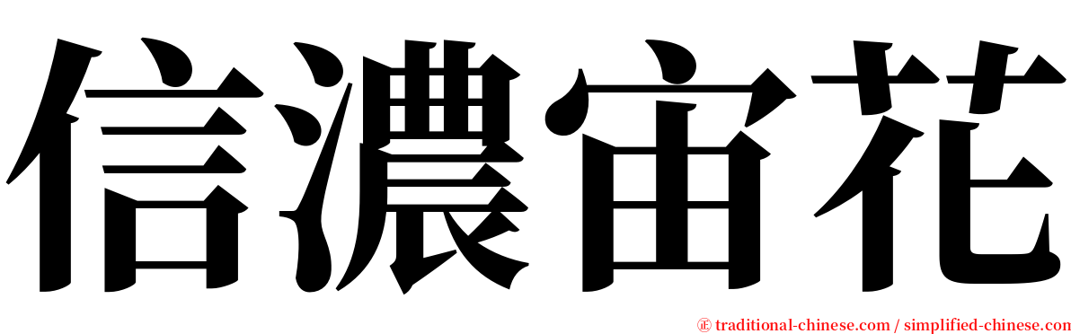 信濃宙花 serif font