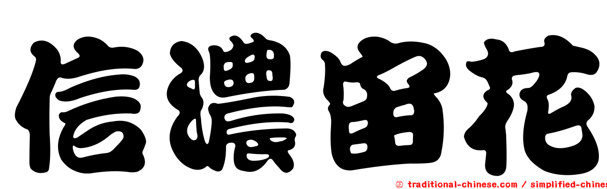 信濃宙花