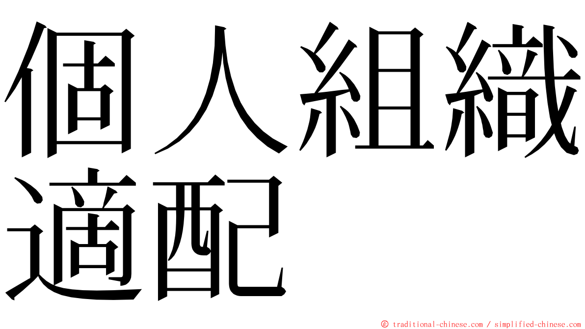 個人組織適配 ming font