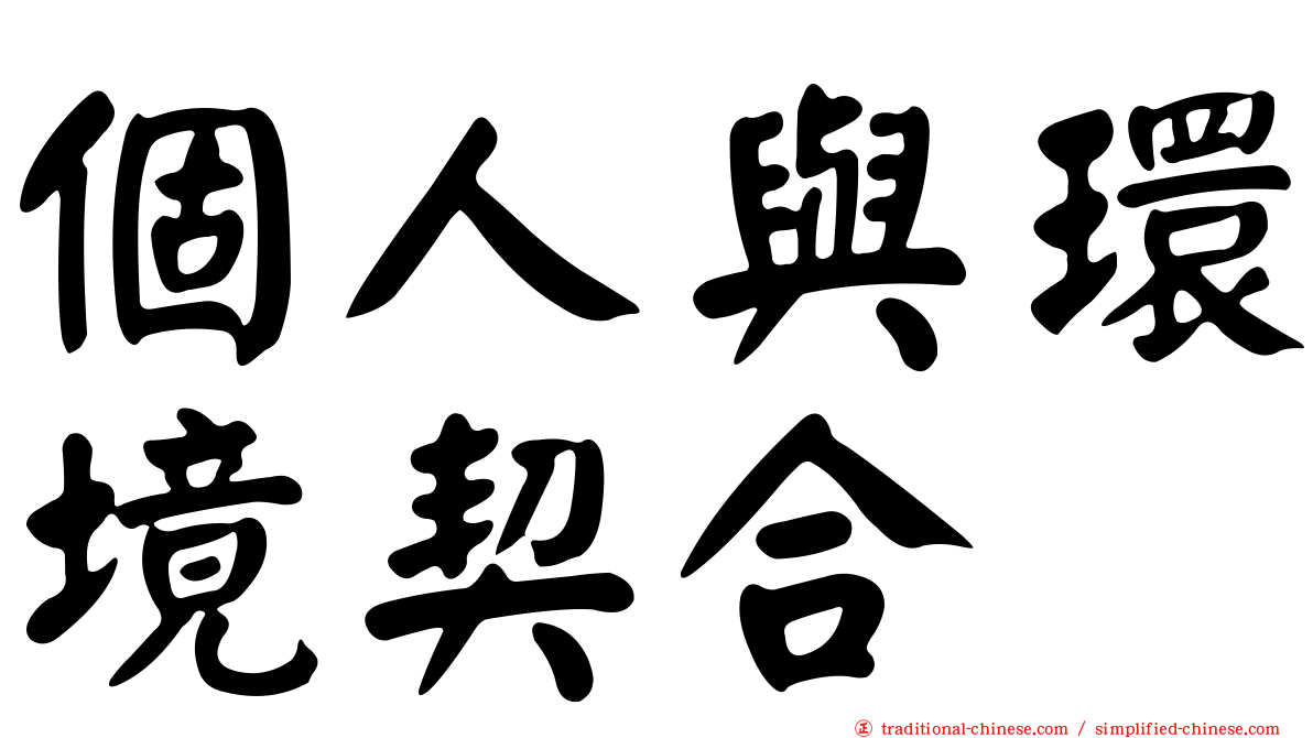 個人與環境契合