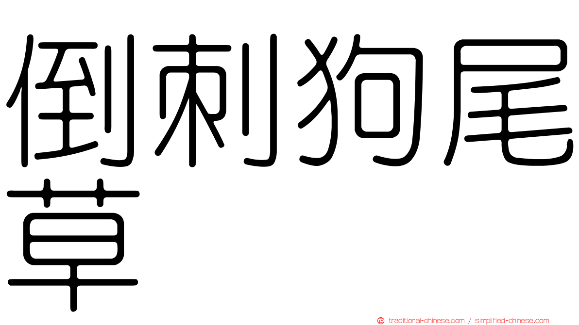 倒刺狗尾草