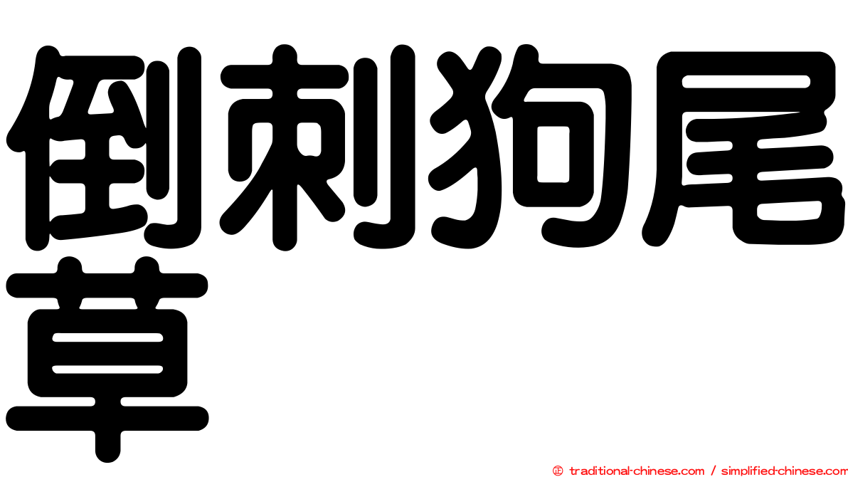 倒刺狗尾草