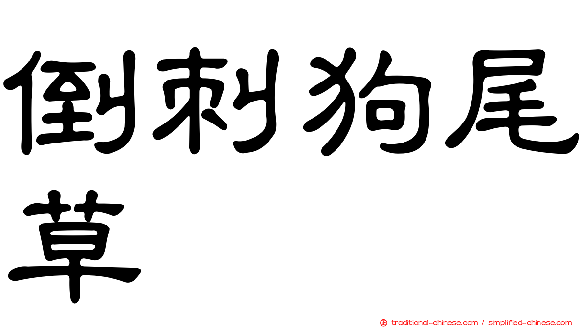 倒刺狗尾草