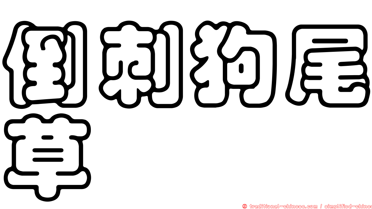 倒刺狗尾草
