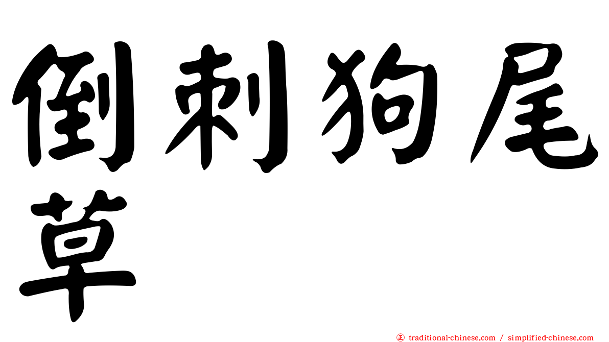 倒刺狗尾草