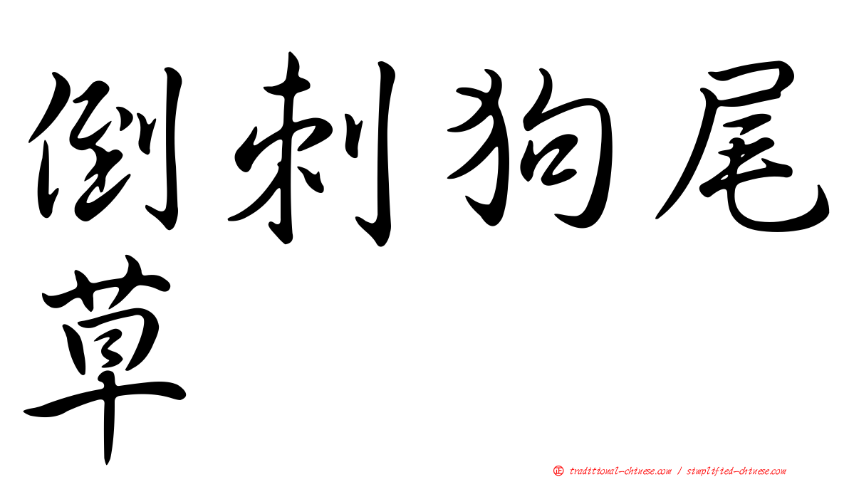 倒刺狗尾草