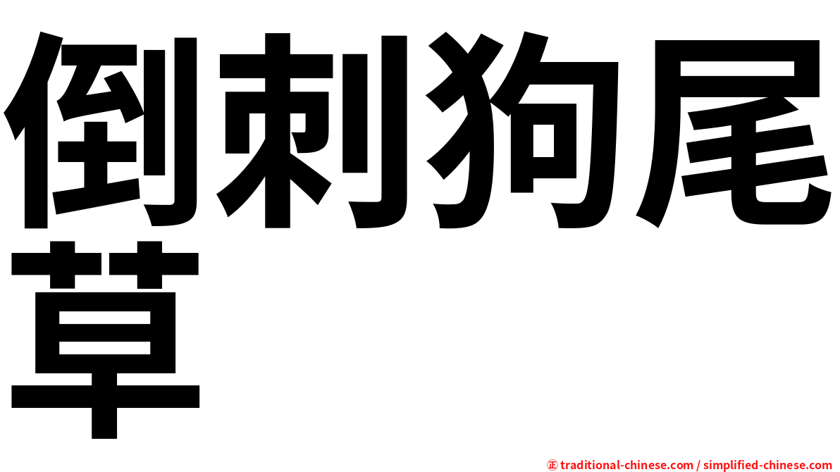 倒刺狗尾草