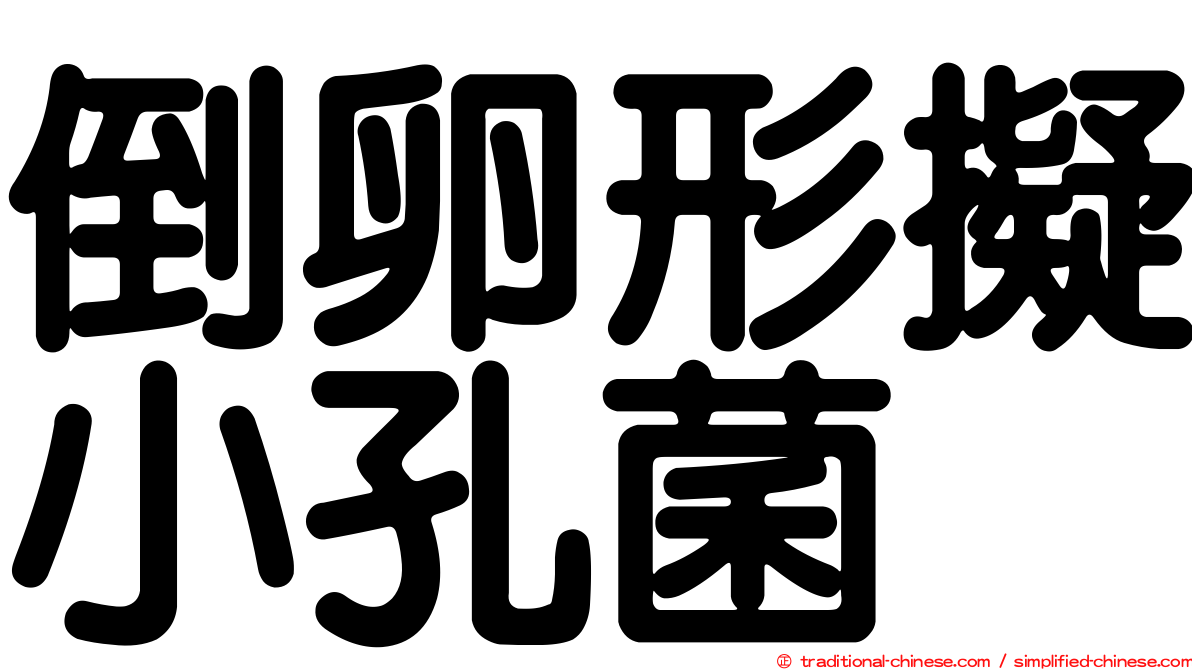倒卵形擬小孔菌