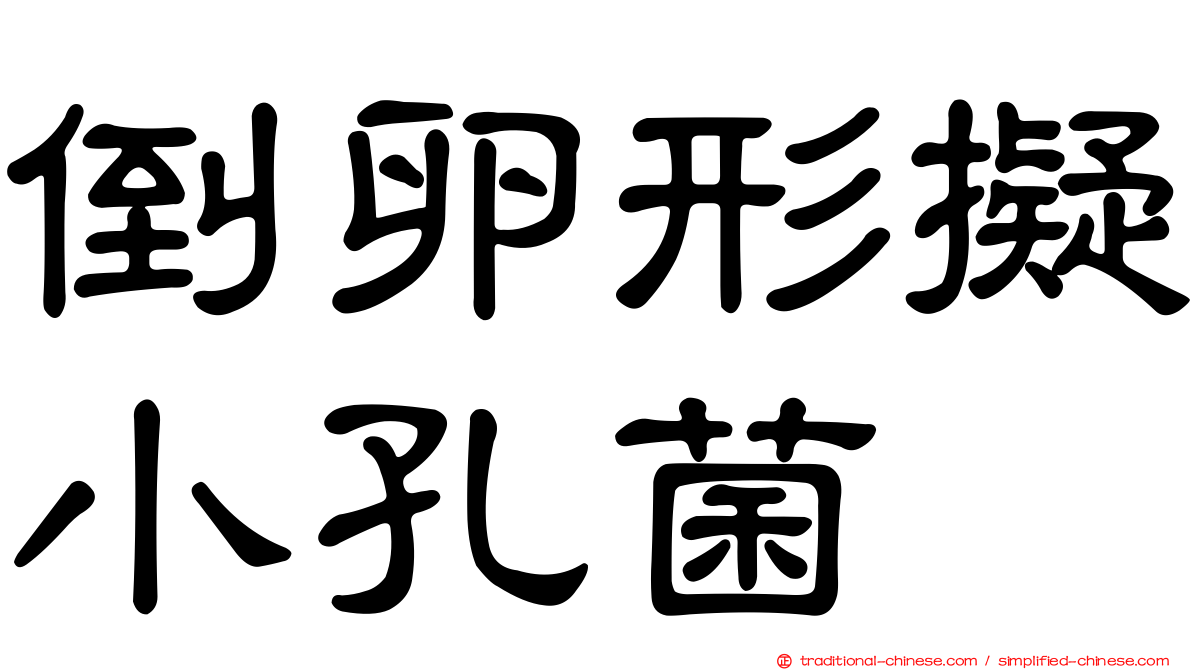 倒卵形擬小孔菌