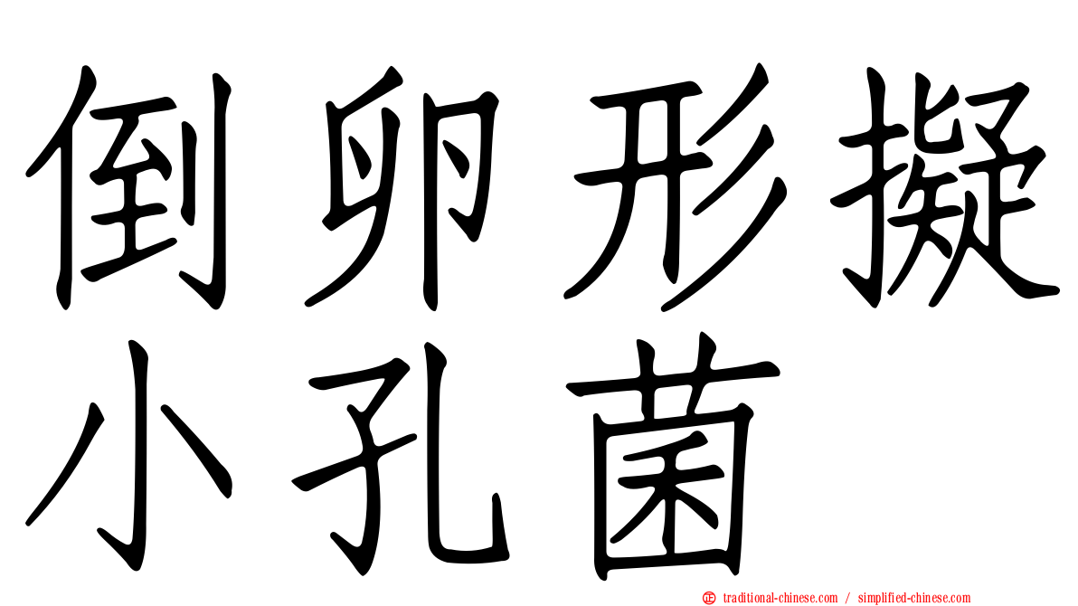 倒卵形擬小孔菌