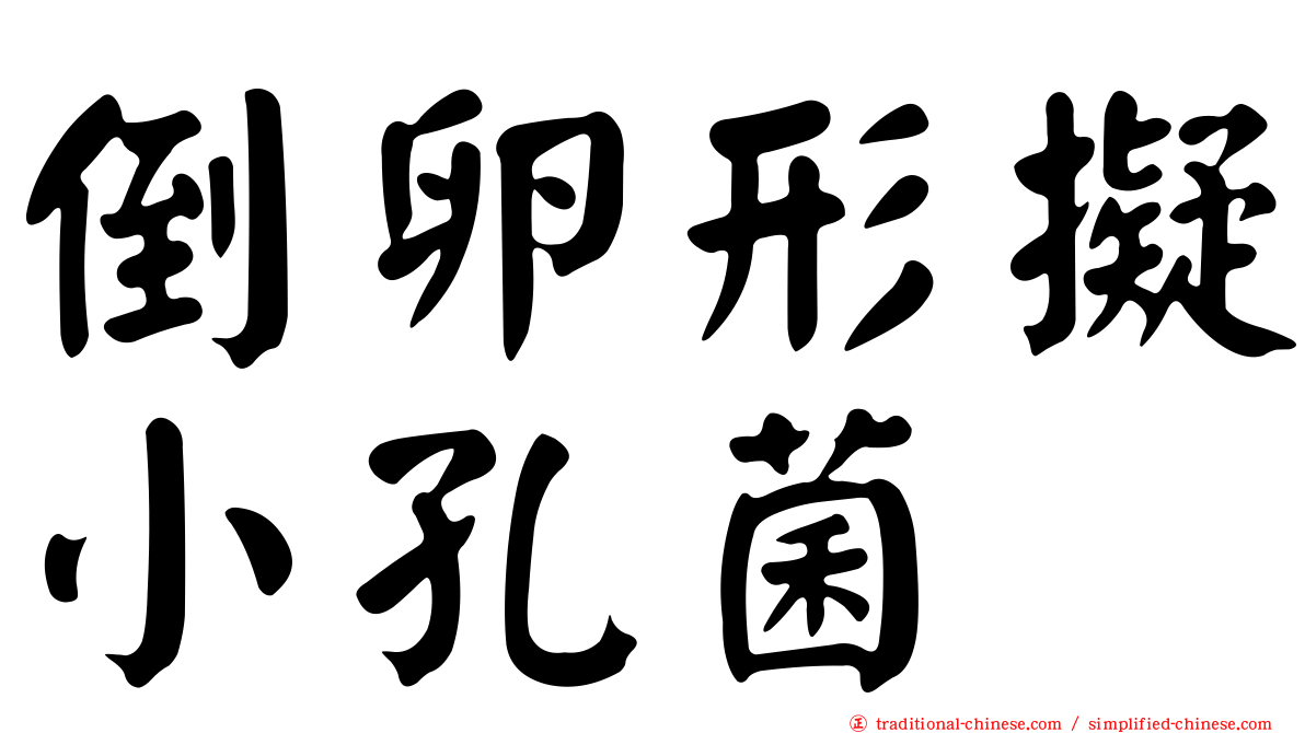 倒卵形擬小孔菌