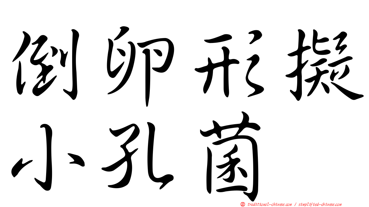 倒卵形擬小孔菌