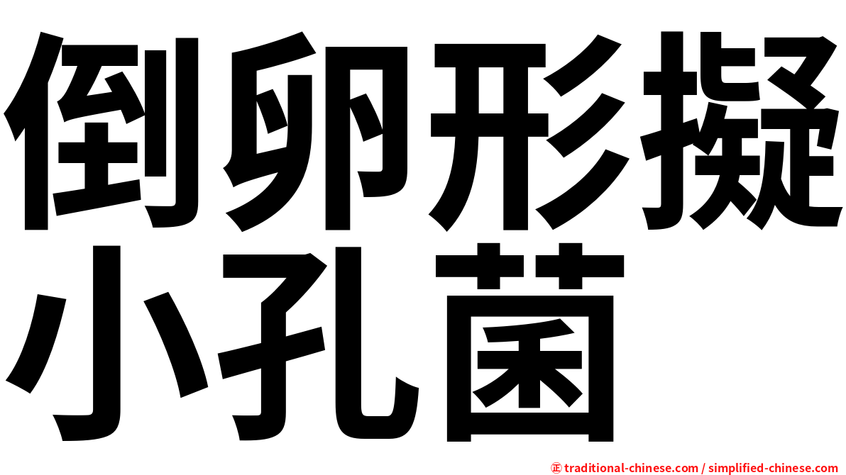 倒卵形擬小孔菌