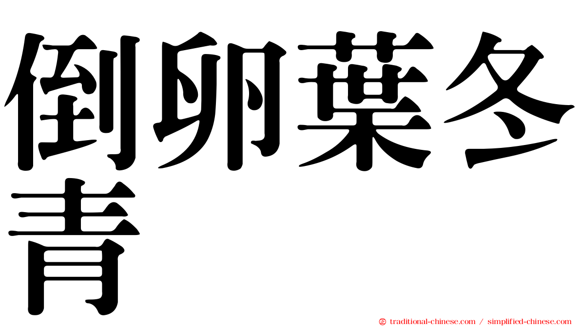 倒卵葉冬青