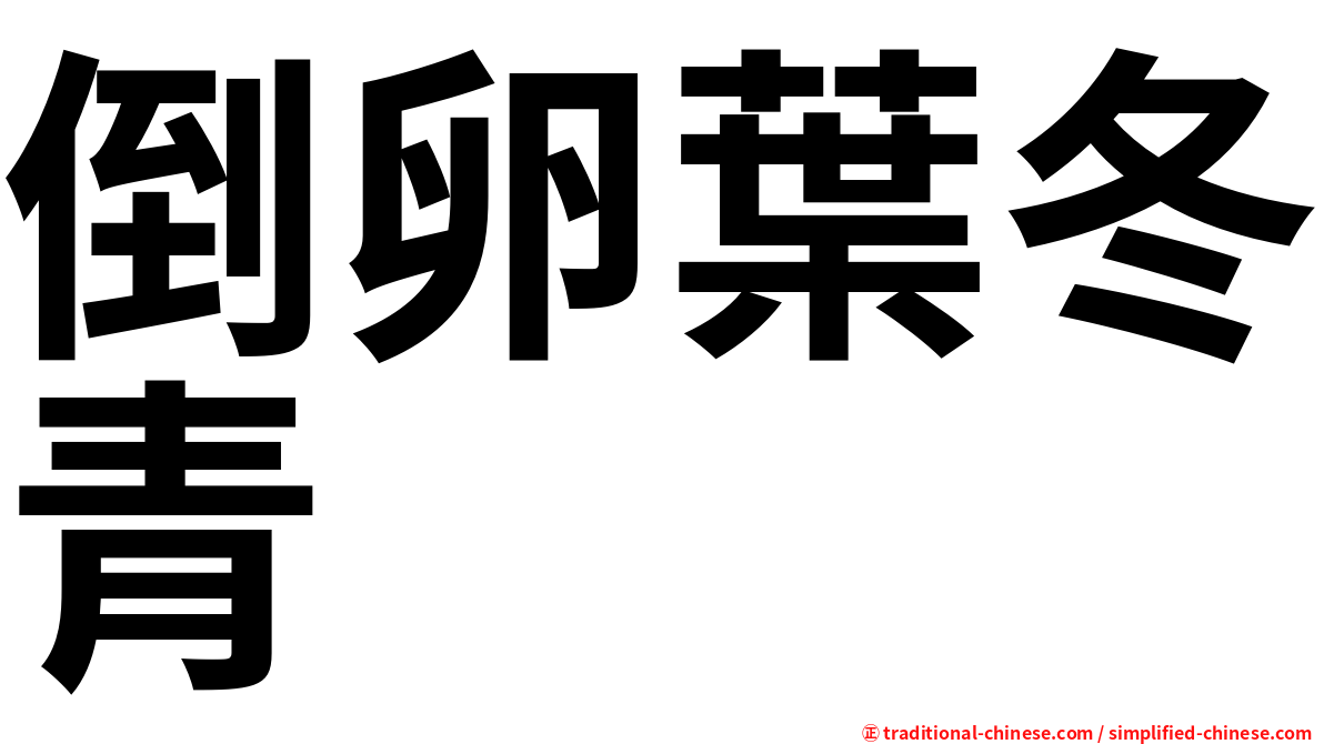 倒卵葉冬青