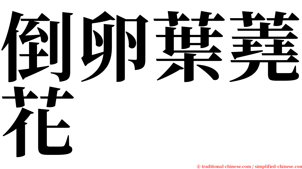 倒卵葉蕘花 serif font