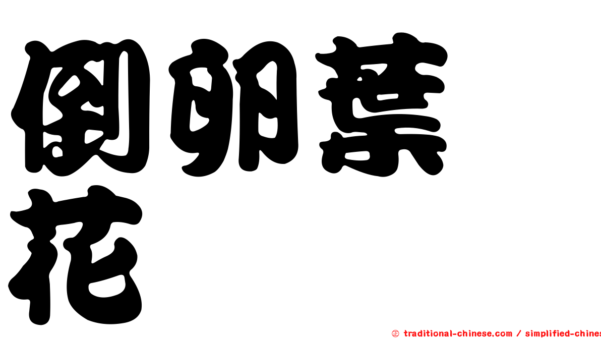 倒卵葉蕘花