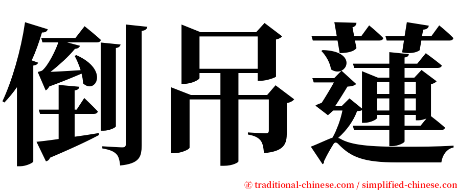 倒吊蓮 serif font