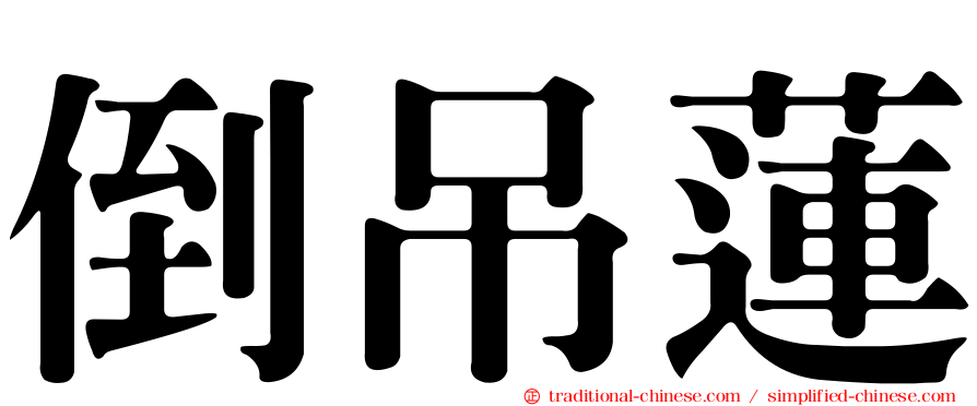 倒吊蓮