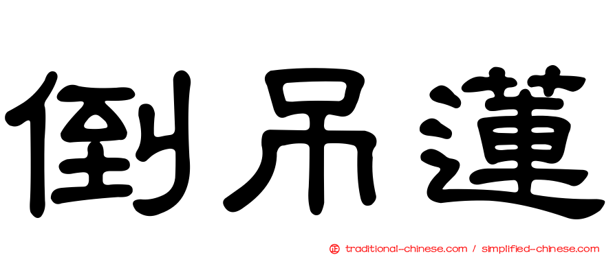 倒吊蓮