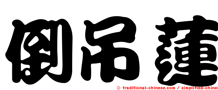 倒吊蓮