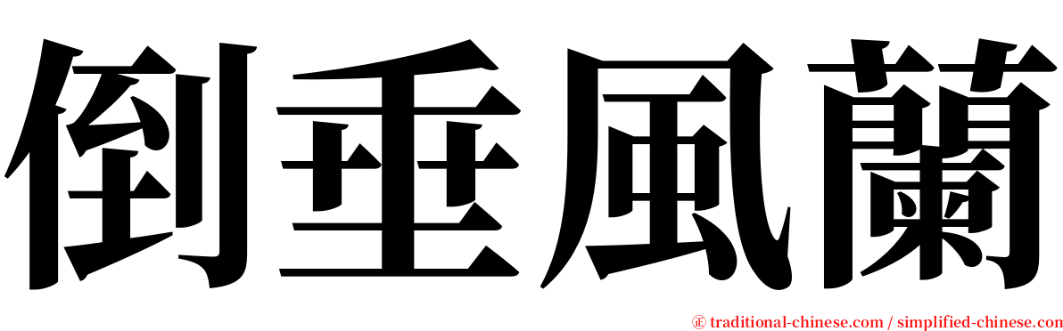 倒垂風蘭 serif font