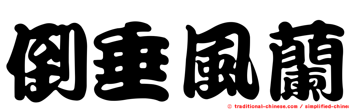 倒垂風蘭
